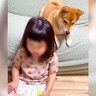 寝る前、小さな女の子が犬に『絵本の読み聞かせ』をした結果…思わぬ展開にビビり散らかす光景が話題「不意打ちｗ」「微笑ましい」と絶賛の声