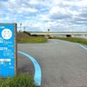 【距離別】地元ランナーが推す！和歌山市内のランニングコースまとめ