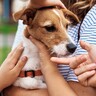 愛犬にベタベタしすぎてはいけない？　考えられる悪影響から適切な距離感まで解説