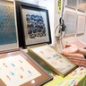 横須賀の「琉球紅型（びんがた）」知って　戦中の避難民作成の見本品展示