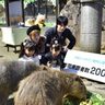 伊豆シャボテン動物公園、65年で初めてグループ年間200万人来園を達成