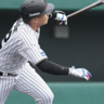 サヨナラ3号2ランHR！阪神外野開幕スタメンを掴んだ前川右京、森下翔太に追いつくべく結果にこだわる強打者とは！？