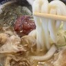【米子市】かすうどんのチャンピヨン｜出汁と油かすの深い旨味。米子で出会う、大阪生まれのうどん料理