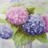水彩画愛好会が作品展　５月７日から　飛鳥画廊で