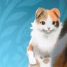 『モンハンワイルズ』猫の前でアイルーのボイスを流したら…驚きの反応が902万表示「すげぇな」「ずっと見ていられる」とSNSで話題に