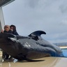 【冬休みにおススメ！】『マリンワールド海の中道』は年末年始も休まず営業！1/1は空くじなしの「新春福引き大会」！（福岡市東区）