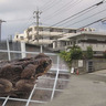 生態系への影響に危機感！毒があり繁殖力も強い特定外来生物。沖縄本島中部で見つかるのは初めて…