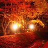山梨の道の駅おすすめ４選｜紅葉ドライブで絶景・グルメ・キャンプを満喫！