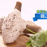 秋の味覚ごぼうと鶏肉のヘルシー料理　～鶏ご棒～　のレシピを紹介【下國伸のお目覚メシ】