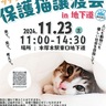 保護猫と飼い主つなぐ　地下道で11月23日