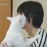 留守番をしていた猫が『約1日半ぶり』に家族と再会したら…まさかの『泣ける光景』が22万再生「本当に寂しかったんだね」「涙がでてきた」