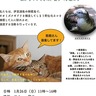 「森ネコ」のパネル展　ボランティア募集も