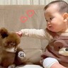 ソファでくつろぐ0歳の赤ちゃんと犬→あまりにも尊い『穏やかな時間』に悶絶の声「まるでお人形とぬいぐるみ」「可愛すぎて時が止まった」と反響
