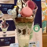 スースー!チョコミントとミントグルメ2025