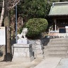 鎌倉市　諏訪神社に説明板　住民要望、逃げ若追い風に