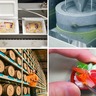 ​＜静岡県中部・最新＞大人もハマる工場見学！夢のお菓子工場で大人気チョコやグミの秘密を探ろう