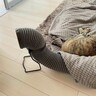 猫がいる部屋で使う『暖房器具の片付けどき』　大好きなこたつやストーブ…いつまで使うもの？