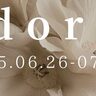 トキハわさだタウンで『大人気イベント～Adorer～』が開催中です