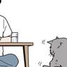 長毛のコの毛づくろいは応援したくなる【猫マンガ　男の猫道】