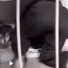 酔っ払って帰宅した結果→犬に『ダル絡み』し始め…まさかの『大迷惑をかける光景』に23万いいね「泥酔で草」「どこで寝てんねんｗ」と爆笑