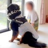 お盆中、超大型犬が『おばあちゃんの家に遊びに行った』結果…窓際での『まさかの行動』に涙「ウルっときた」「良い時間を過ごしたね」と感動