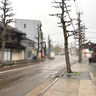 瓢箪町にオープンしたたい焼きのお店『大鯛吉』で『北海道あずき』『カスタード』『能登豚たい焼き』買って食べてみた。