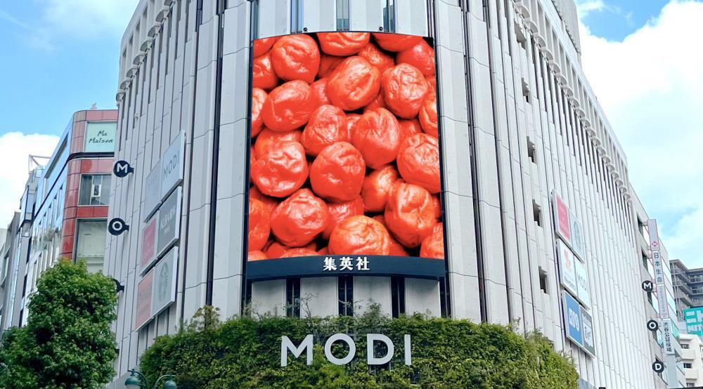 男梅 男梅」5種食べ比べや「男梅サワー」の無料サンプリングも！全国7