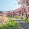 千葉県八千代市での子育て体験談。子育て支援情報や子育てにおすすめのエリアを紹介