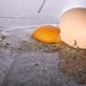 「床に落ちた生卵」を“すぐに拭かずにキレイに片づける”ワザ「すごい！」「固まる…」