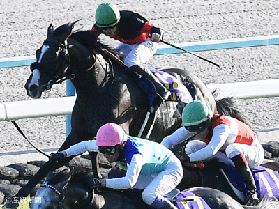 菊花賞】好走した馬がいない！？馬券を買ってはいけない枠順とは