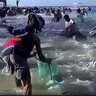 まるでイワシ風呂！　海の浅瀬にイワシの大群で地元民らは大興奮（フィリピン）