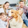 『家族想いな犬』がみせがちな行動5つ　愛犬と深い絆で結ばれるための方法とは