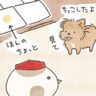 一生懸命考える犬ってほんとうに可愛い