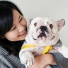 犬が飼い主に懐かなくなる4つのダメ行動とは　無意識にやっているNG行為や理想的な接し方まで解説