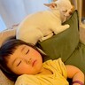 赤ちゃんがおねんねしていると、犬が近づいて…あまりにも尊い『本当の姉妹のような光景』に「癒される」「お互い大好きなのが伝わる」と悶絶の声