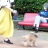 犬の散歩中に『パパが変装して現れるドッキリ』を仕掛けたら…思った以上の『急カーブ』が愛おしいと61万再生「愛が強い」「なんか感動…」