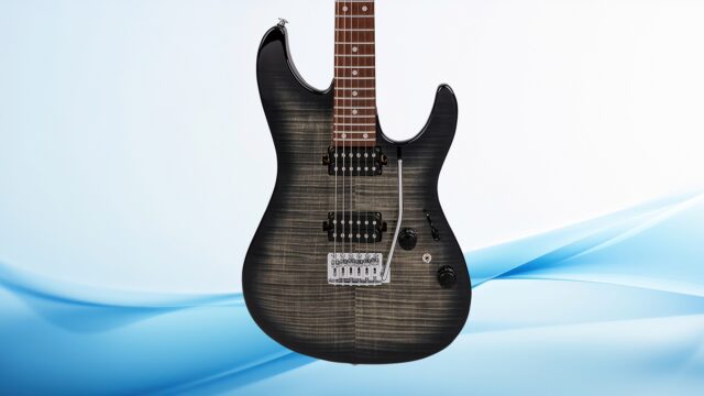 小*平様 エレキギター ブラック 24フレット ハムバッカー エレキギター ブラック 24フレット ハムバッカー エレキギター