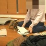 『子猫時代と成長後の様子』を比べてみた結果…まさかの違いすぎる態度が笑えると18万再生「両方かわいい」「成長後は貫禄あるね」