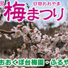 梅の香りに包まれて、春の訪れを感じる『第45回