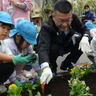 南浅間保育園　園児が花植えに挑戦　西区役所前広場をリニューアル