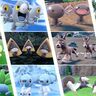 【ポケモンSV】4つのタイプの大量発生が出現！|7/23~9/15、それぞれ2週間【スカーレット・バイオレット】