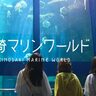 【城崎マリンワールド】7月18日にリニューアル！イルカ・アシカショーのスタジアムや展示が一新♪