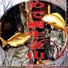 日田市で『新春イベント