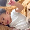 小さな男の子が大型犬のお腹にコテン→大型犬も“あご乗せ”してみた結果…まさかの『予想外すぎる反応』に「微笑ましすぎる」「ドンマイ」