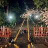 【一夜限りの幻想的な光景】しおがまさま神々の花灯り