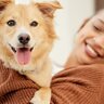 犬の寛容さに甘えてしまっているかも？『ボディランゲージ』を学んで、愛犬と信頼関係を築こう