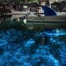 上にも下にも輝く世界　京都・伊根の幻想水景に1.2万人感動「心が洗われる」「神秘的」