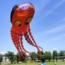 綺麗な芝生でのたこあげとピクニック！大迫力の大凧に、凧作り体験も！