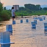 浅川に慰霊の灯