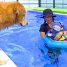 赤ちゃんが『初めての浮き輪』に挑戦した結果…心配した大型犬の『見守り行動』が10万再生「頼もしいお兄ちゃん」「安心して遊べる」と絶賛